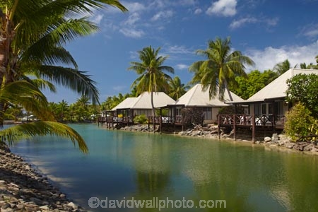 bure;bures;Fij;Fiji;Fiji-Islands;holiday;holiday-accommodation;holiday-resort;holiday-resorts;holidays;island;islands;lagoon-bure;Lagoon-Bures;Malolo-Lailai-Is;Malolo-Lailai-Island;Mamanuca-Group;Mamanuca-Is;Mamanuca-Island-Group;Mamanuca-Islands;Mamanucas;Musket-Cove-Island-Resort;Musket-Cove-Resort;over-water-bure;over-water-bures;over_water-bure;over_water-bures;Pacific;Pacific-Island;Pacific-Islands;palm;palm-frond;palm-fronds;palm-tree;palm-trees;palms;resort;resort-hotel;resort-hotels;resorts;South-Pacific;tropical-island;tropical-islands;vacation;vacations