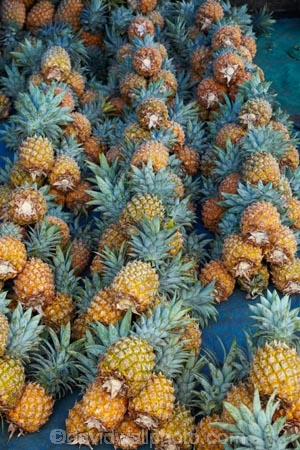 Ananas-comosus;colorful;colourful;commerce;commercial;Fij;Fiji-Islands;food;food-market;food-markets;food-stall;food-stalls;fruit;fruit-and-vegetables;fruit-market;fruit-markets;market;market-place;market_place;marketplace;markets;Pacific;pineapple;pineapples;produce;produce-market;produce-markets;product;products;retail;retailer;retailers;shop;shopping;shops;South-Pacific;stall;stalls;steet-scene;street-scenes;Suva;Suva-Market;Suva-Municipal-Market;Suva-Produce-Market;Viti-Levu;Viti-Levu-Island