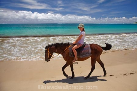 aqua;aquamarine;beach;beaches;blue;child;children;clean-water;clear-water;coast;coastal;coastline;coastlines;coasts;cobalt-blue;cobalt-ultramarine;cobaltultramarine;Coral-Coast;equestrian;family-holiday;family-holidays;family-vacation;family-vacations;Fij;Fiji;Fiji-Islands;foreshore;girl;girls;holiday;holidays;horse;horse-rider;horse-riders;horse-riding;horses;kid;kids;Natadola;Natadola-Beach;Natadola-Harbor;Natadola-Harbour;ocean;oceans;Pacific;Pacific-Ocean;paradise;people;person;sand;sandy;sea;seas;shore;shoreline;South-Pacific;surf;teal-blue;tourism;tourist;tourists;tropical-island;tropical-islands;turquoise;vacation;vacations;Viti-Levu;wave;waves