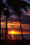 coconut-palm;coconut-palms;coconut-tree;coconut-trees;cocos-nucifera;heavenly;holiday;holidays;horizon;horizons;idyllic;island;islands;leisure;melanesia;outdoor;outdoors;outside;pacific;palm;palm-tree;palms;palm-trees;paradise;plant;plants;scenic;scenics;summer;summertime;travel;travels;tree;trees;tropical;vacation;vacations;vegetation;viti-levu;world-locations;world-travel;relax;relaxing;serene;peaceful;quiet;restful;rest;calm;tranquil;still;calmness;relaxation;silence;sunset;sunsets;dusk;sky;orange;serene;relax;relaxation;ocean;oceans;pacific;horizon