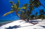 beach;beaches;coast;coastline;coconut-palm;coconut-palms;coconut-tree;coconut-trees;cocos-nucifera;heavenly;holiday;holidays;horizon;horizons;idyllic;island;islands;leisure;melanesia;ocean;outdoor;outdoors;outside;pacific;palm;palm-tree;palms;palm-trees;paradise;plant;plants;sand;sandy;scenic;scenics;sea;shadow;shadows;shore;shores;shoreline;summer;summertime;travel;travels;tree;trees;tropical;vacation;vacations;vegetation;viti-levu;water;world-locations;world-travel;horse;rider;ride;relax;relaxing;serene;peaceful;quiet;restful;rest;calm;tranquil;still