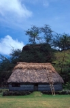 hut;huts;house;houses;housing;residence;thatch;thatching;roof;rooves;grass;flax;tradition;traditional;custom;customs;fijian;fiji;viti-levu;customary;build;building