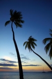 coast;coastal;coastline;coastlines;coasts;dusk;evening;Fij;Fiji;Fiji-Islands;foreshore;holiday;holiday-resort;holiday-resorts;holidays;Malolo-Lailai-Is;Malolo-Lailai-Island;Malololailai-Is;Malololailai-Island;Mamanuca-Group;Mamanuca-Is;Mamanuca-Island-Group;Mamanuca-Islands;Mamanucas;nightfall;ocean;Pacific;Pacific-Island;Pacific-Islands;palm;palm-frond;palm-fronds;palm-tree;palm-trees;palms;Plantation-Is;Plantation-Is-Resort;Plantation-Island;Plantation-Island-Resort;resort;resort-hotel;resort-hotels;resorts;sea;shore;shoreline;shorelines;shores;sky;South-Pacific;sunset;sunsets;tropical-island;tropical-islands;twilight;vacation;vacations;water