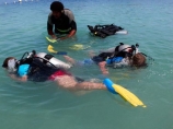 child;children;coast;coastal;coastline;coastlines;coasts;coral-reef;coral-reefs;diver;divers;diving;Fij;Fiji;Fiji-Islands;foreshore;holiday;holidays;island;islands;kid;kids;Malolo-Lailai-Is;Malolo-Lailai-Island;Malololailai-Is;Malololailai-Island;Mamanuca-Group;Mamanuca-Is;Mamanuca-Island-Group;Mamanuca-Islands;Mamanucas;ocean;Pacific;Pacific-Island;Pacific-Islands;people;person;Plantation-Is;Plantation-Is-Resort;Plantation-Island;Plantation-Island-Resort;reef;reefs;scuba;scuba-diver;scuba-divers;scuba-diving;sea;shore;shoreline;shorelines;shores;South-Pacific;tourism;tourist;tourists;tropical-island;tropical-islands;tropical-reef;tropical-reefs;vacation;vacations;water