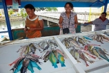 commerce;commercial;female;Fij;Fiji-Islands;Fijian;Fijian-lady;fish;fish-market;fish-markets;fishes;lady;market;market-place;market_place;marketplace;markets;Nabukalou-Creek;Pacific;parrotfish;people;person;product;products;retail;retailer;retailers;seafood-markets;seafoodmarkets;shop;shopping;shops;South-Pacific;stall;stalls;steet-scene;street-scenes;Suva;Viti-Levu;Viti-Levu-Island;woman;women