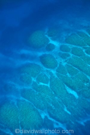 aerial;aerial-photo;aerial-photograph;aerial-photographs;aerial-photography;aerial-photos;aerial-view;aerial-views;aerials;aqua;aquamarine;blue;clean-water;clear-water;coast;cobalt-blue;cobalt-ultramarine;cobaltultramarine;coral;coral-reef;coral-reefs;corals;Fij;Fiji;Fiji-Islands;Mamanuca-Group;Mamanuca-Is;Mamanuca-Island-Group;Mamanuca-Islands;Mamanuca_i_Cake-Group;Mamanucas;Monu-Is;Monu-Island;Pacific;Pacific-Island;Pacific-Islands;reef;reefs;South-Pacific;teal-blue;tropical-island;tropical-islands;tropical-reef;tropical-reefs;turquoise
