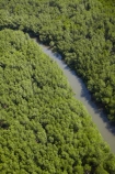 aerial;aerial-photo;aerial-photograph;aerial-photographs;aerial-photography;aerial-photos;aerial-view;aerial-views;aerials;Denarau-Is;Denarau-Island;Fij;Fiji;Fiji-Islands;mangrove;mangrove-swamp;mangrove-swamps;mangroves;Pacific;Pacific-Island;Pacific-Islands;South-Pacific;Viti-Levu