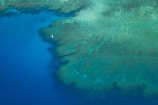 aerial;aerial-photo;aerial-photograph;aerial-photographs;aerial-photography;aerial-photos;aerial-view;aerial-views;aerials;aqua;aquamarine;blue;boat;boats;clean-water;clear-water;coast;cobalt-blue;cobalt-ultramarine;cobaltultramarine;coral-reef;coral-reefs;dive-boat;dive-boats;Fij;Fiji;Fiji-Islands;Mamanuca-Group;Mamanuca-Is;Mamanuca-Island-Group;Mamanuca-Islands;Mamanucas;Pacific;Pacific-Island;Pacific-Islands;reef;reefs;South-Pacific;teal-blue;Tokoriki-Is;Tokoriki-Island;tropical-island;tropical-islands;tropical-reef;tropical-reefs;turquoise