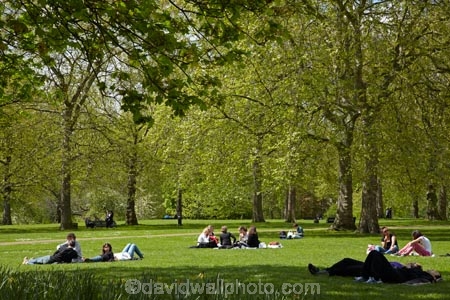 7002;britain;City-of-Westminster;england;Europe;fresh;G.B.;GB;grass;great-britain;green;Green-Park;grow;growth;kingdom;london;people;person;picnic;picnicing;picnics;relaxing;renew;Royal-Parks-of-London;season;seasonal;seasons;spring;springtime;The-Green-Park;tree;trees;U.K.;uk;united;United-Kingdom;Westminster