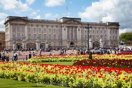 bloom;blooming;blooms;blossom;blossoming;blossoms;Britain;Buckingham-House;Buckingham-Palace;City-of-Westminster;color;colorful;colour;colourful;england;Europe;flower;flower-garden;flower-gardens;flowerbad;flowerbeds;flowers;fresh;G.B.;GB;great-britain;grow;growth;kingdom;london;Memorial-Garden;Memorial-Gardens;palace;palaces;people;person;red;renew;Royal-Parks-of-London;Saint-James-Park;Saint-Jamess-Park;season;seasonal;seasons;spring;springtime;St-James-Park;St-Jamess-Park;St.-James-Park;St.-Jamess-Park;tourism;tourist;tourists;tulip;tulips;U.K.;UK;united;United-Kingdom;Westminster;yellow
