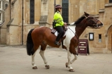 3922;britain;brown-horse;brown-horses;chestnut-horse;chestnut-horses;EC4;england;equestrian;equine;Europe;G.B.;GB;great-britain;horse;horse-police;horse-riding;horses;Inner-Temple;Inns-of-Court;kingdom;london;Metropolitan-Police;Mounted-Branch;mounted-police;pc;police;police-constable;policewoman;policewomen;Temple-Church;The-City-of-London;The-Honourable-Society-of-the-Inner-Temple;U.K.;uk;united;United-Kingdom;wpc