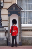 Bearskin-hat;Bearskin-hats;britain;British-Army;Buckingham-Palace;ceremonial;ceremony;england;Europe;Foot-Guard;G.B.;GB;great-britain;guard;guard-box;guard-boxes;guardbox;guardboxes;guards;infantry;kingdom;london;military;o8l4785;palace-guard;palace-guards;Queens-Guard;Queens-Life-Guard;Queens-guards;soldier;soldiers;U.K.;uk;uniform;uniforms;united;United-Kingdom