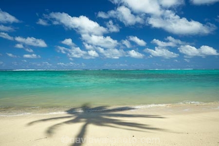 aquamarine;beach;beaches;blue;blue-skies;blue-sky;clean-water;clear-water;cloud;clouds;coconut-palm;coconut-palms;Cook-Is;Cook-Islands;Pacific;Pacific-Ocean;palm;palm-tree;palm-trees;palms;paradise;Rarotonga;shadow;shadows;simple;South-Pacific;tropcial-water;tropical;tropical-beach;tropical-island;tropical-islands;tropical-palm-tree;turquoise;water-aqua;white-cloud;white-clouds