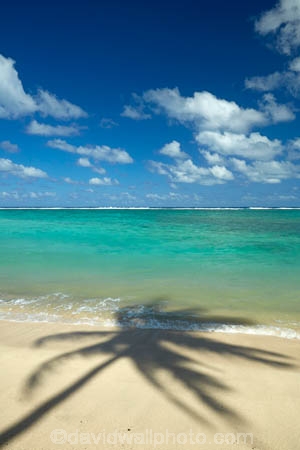 aquamarine;beach;beaches;blue;blue-skies;blue-sky;clean-water;clear-water;cloud;clouds;cobalt-blue;cobalt-ultramarine;cobaltultramarine;coconut-palm;coconut-palms;Cook-Is;Cook-Islands;Pacific;Pacific-Ocean;palm;palm-tree;palm-trees;palms;paradise;Rarotonga;shadow;shadows;simple;South-Pacific;tropcial-water;tropical;tropical-beach;tropical-island;tropical-islands;tropical-palm-tree;turquoise;water-aqua;white-cloud;white-clouds