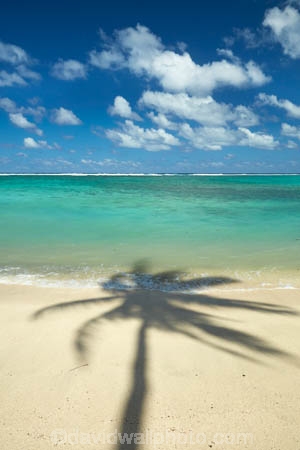 aquamarine;beach;beaches;blue;blue-skies;blue-sky;clean-water;clear-water;cloud;clouds;coconut-palm;coconut-palms;Cook-Is;Cook-Islands;Pacific;Pacific-Ocean;palm;palm-tree;palm-trees;palms;paradise;Rarotonga;shadow;shadows;simple;South-Pacific;tropcial-water;tropical;tropical-beach;tropical-island;tropical-islands;tropical-palm-tree;turquoise;water-aqua;white-cloud;white-clouds