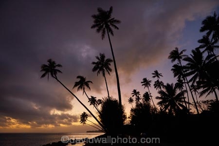 beach;beaches;cloud;clouds;cloudy;coconut-palm;coconut-palms;Cook-Is;Cook-Islands;dusk;evening;night;night_time;nightfall;ocean;Pacific;Pacific-Ocean;palm;palm-tree;palm-trees;palms;paradise;Rarotonga;sea;South-Pacific;sunset;sunsets;tropical;tropical-island;tropical-islands;tropical-palm-tree;twilight