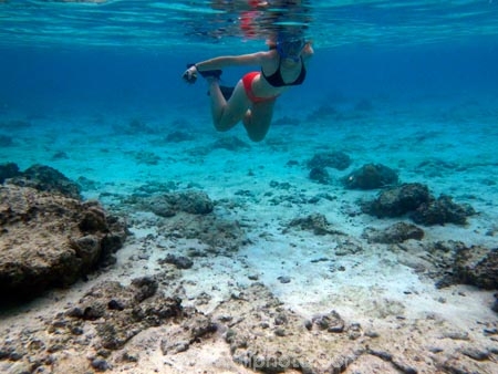 aqua;aquamarine;azure;blue;clean-water;clear-water;coast;coastal;coasts;cobalt;cobalt-blue;cobalt-ultramarine;cobaltultramarine;Cook-Is;Cook-Islands;coral;coral-reef;coral-reefs;diving;fish;fishes;girl;girls;marine;marine-environment;marine-life;marinelife;model-release;model-released;MR;ocean;oceanlife;Pacific;Pacific-Island;Pacific-Islands;paradise;Rarotonga;reef;reefs;sea;sealife;snorkeller;snorkellers;snorkelling;South-Pacific;swim-swimmer;swimming;teal;teal-blue;tropcial-water;tropical;tropical-fish;tropical-island;tropical-islands;tropical-paradise;tropical-reef;tropical-reefs;turquoise;ultramarine;under-water;under_water;undersea;underwater;underwater-photo;underwater-photography;underwater-photos;water