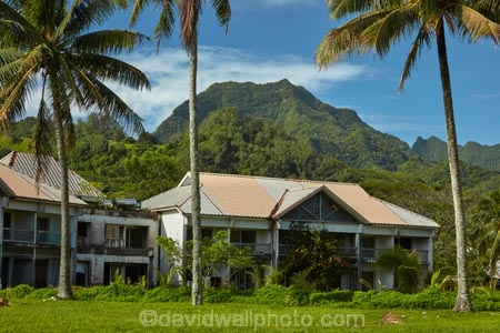 abandon;abandoned;building;buildings;character;Cook-Is;Cook-Islands;derelict;derelict-building;dereliction;deserted;desolate;desolation;destruction;ghost-town;ghost-towns;heritage;historic;historic-building;historic-buildings;Historic-Ruins;historical;historical-building;historical-buildings;history;holiday;holiday-resort;holiday-resorts;hotel;hotels;neglect;neglected;Pacific;palm;palm-tree;palm-trees;palms;Rarotonga;resort;resort-hotel;resort-hotels;resorts;ruin;ruins;run-down;rustic;Sheraton;Sheraton-Hotel;Sheraton-Hotels;South-Pacific;tropical-palm-tree;Vaimaanga;Vaimaanga-Hotel;Vaimaanga-Tapere