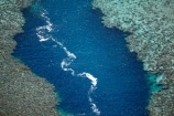 aerial;aerial-image;aerial-images;aerial-photo;aerial-photograph;aerial-photographs;aerial-photography;aerial-photos;aerial-view;aerial-views;aerials;aqua;aquamarine;Avaavaroa;Avaavaroa-Tapere;barrier-reef;barrier-reefs;beach;beaches;blue;break;chanel;channel;clean-water;clear-water;coast;cobalt-blue;cobalt-ultramarine;cobaltultramarine;Cook-Is;Cook-Island;Cook-Islands;coral;coral-reef;coral-reefs;corals;island;islands;Pacific;Pacific-Is;Pacific-Island;Pacific-Islands;Pacific-Ocean;Rarotonga;reef;reef-break;reef-chanel;reef-channel;reefs;South-Pacific;Takitimu-District;teal-blue;tropical;tropical-island;tropical-islands;tropical-reef;tropical-reefs;Turoa;Turoa-Beach;turquoise