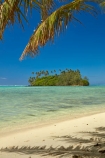aquamarine;beach;beaches;blue;clean-water;clear-water;Cook-Is;Cook-Islands;Muri-Beach;Muri-Lagoon;Pacific;palm;palm-tree;palm-trees;palms;Rarotonga;South-Pacific;Taakoka-Is;Taakoka-Island;tropcial-water;tropical;tropical-beach;tropical-island;tropical-islands;tropical-palm-tree;turquoise