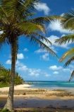 Avana-Harbor;Avana-Harbour;beach;beaches;Cook-Is;Cook-Islands;departure;departure-point;Garden-of-seven-stones;historic;history;Maori;Muri-Lagoon;Pacific;palm;palm-tree;palm-trees;palms;Rarotonga;South-Pacific;tropical;tropical-beach;tropical-island;tropical-islands;tropical-palm-tree