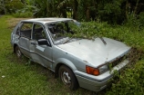 abandon;abandoned;automobile;automobiles;brocken-windscreen;broken-down;broken-window;broken_down;car;cars;castaway;character;Cook-Is;Cook-Islands;derelict;dereliction;desolate;desolation;destruction;heritage;historic;historical;history;neglect;neglected;old;old-fashioned;old_fashioned;overgrown;Pacific;Rarotonga;ruin;ruins;run-down;rustic;rusting;rusty;silver;silver-car;silver-cars;South-Pacific;tradition;traditional;vehicle;vehicles;vine;vines;vintage;wreck;wrecks