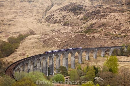 arch;arches;bridge;bridges;Britain;British-Isles;carriage;carriages;curved-viaduct;curved-viaducts;freight;G.B.;GB;Glenfinnan;Glenfinnan-Railway-Viaduct;Glenfinnan-Viaduct;Great-Britain;Harry-Potter-Bridge;Harry-Potter-Viaduct;heritage;Highland;Highlands;historic;historic-bridge;historic-bridges;historic-place;historic-places;historic-site;historic-sites;historic-viaduct;historic-viaducts;historical;historical-bridge;historical-bridges;historical-place;historical-places;historical-site;historical-sites;historical-viaduct;historical-viaducts;history;Lochaber;passenger-trains;passneger-train;rail;railroad;railroads;rails;railway;railway-bridge;railway-bridges;railway-viaduct;railway-viaducts;railways;Scotland;Scottish-Highlands;track;tracks;train;trains;transport;transportation;U.K.;UK;United-Kingdom;viaduct;viaducts;West-Highland-Line