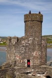 abandon;abandoned;Afon-Conwy;battlement;battlements;Britain;British-Isles;building;buildings;Castell-Conwy;castellated;castellations;castle;castle-ruins;castles;circa-1287;Conway-Castle;Conwy;Conwy-Castle;crenellation;crenellations;Cymru;derelict;dereliction;deserted;desolate;desolation;fort;fortification;fortress;fortresses;G.B.;GB;Great-Britain;heritage;historic;historic-building;historic-buildings;historical;historical-building;historical-buildings;history;medieval-castle;medieval-castles;old;people;person;River-Conway;River-Conwy;ruin;ruined-castle;ruins;run-down;stone-buidling;stone-buildings;tourism;tourist;tourists;tower;towers;tradition;traditional;turret;turrets;U.K.;UK;UN-world-heritage-site;UNESCO-World-Heritage-Site;United-Kingdom;united-nations-world-heritage-site;Wales;Welsh-Castle;Welsh-Castles;world-heritage;World-Heritage-Park;World-Heritage-site;World-Heritage-Sites