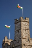 The-Red-Dragon;Baner-Cymru;battlement;battlements;Britain;British-Isles;building;buildings;Caernarfon;Caernarfon-Castle;Carnarvon;Carnarvon-Castle;Castell-Caernarfon;castellated;castellations;castle;castles;crenellation;crenellations;Cymru;Dymar-dre;Flag-of-Wales;fort;fortification;fortress;fortresses;G.B.;GB;Great-Britain;Gwynedd;heritage;historic;historic-building;historic-buildings;historical;historical-building;historical-buildings;history;medieval-castle;medieval-castles;old;stone-buidling;stone-building;stone-buildings;tradition;traditional;U.K.;UK;UN-world-heritage-site;UNESCO-World-Heritage-Site;United-Kingdom;united-nations-world-heritage-site;Wales;Welsh-Castle;Welsh-Castles;Welsh-Flag;Welsh-flags;world-heritage;World-Heritage-Park;World-Heritage-site;World-Heritage-Sites;Y-Ddraig-Goch