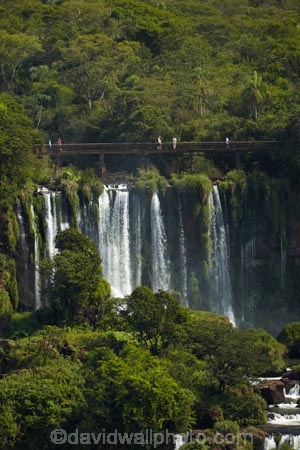 Argentina;border;borders;Brasil;Brazil;cascade;cascades;Cataratas-del-IguazÃº;fall;falls;Iguacu-Falls;Iguacu-National-Park;Iguacu-River;Iguassu-Falls;Iguassu-National-Park;Iguazu-Falls;Iguazu-N.P.;Iguazu-National-Park;Iguazu-NP;Iguazu-River;IguazÃº-Falls;IguazÃº-N.P.;IguazÃº-National-Park;IguazÃº-NP;IguaÃ§u-Falls;IguaÃ§u-National-Park;Latin-America;Misiones;Misiones-Province;national-park;national-parks;natural;nature;Parana;Parana-State;ParanÃ¡;ParanÃ¡-State;people;platform;platforms;scene;scenic;South-America;Sth-America;The-Iguazu-Falls;tourism;tourist;tourists;travel;UN-world-heritage-area;UN-world-heritage-site;UNESCO-World-Heritage-area;UNESCO-World-Heritage-Site;united-nations-world-heritage-area;united-nations-world-heritage-site;viewing-platform;viewing-platforms;walkway;walkways;water;water-fall;water-falls;waterfall;waterfalls;wet;world-heritage;world-heritage-area;world-heritage-areas;World-Heritage-Park;World-Heritage-site;World-Heritage-Sites