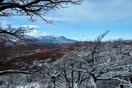 Argentina;Argentine-Patagonia;Argentine-Republic;cold;El-Chalten;forest;forests;Glacier-National-Park;Latin-America;Los-Glaciares;Los-Glaciares-N.P.;Los-Glaciares-National-Park;Los-Glaciares-NP;mountain;mountains;national-park;national-parks;NP;park;parks;Parque-Nacional-Los-Glaciares;Patagonia;Patagonian;Santa-Cruz-Province;snow;snowy;snowy-forest;South-America;South-Argentina;Southern-Argentina;Sth-America;UN-world-heritage-area;UN-world-heritage-site;UNESCO-World-Heritage-area;UNESCO-World-Heritage-Site;united-nations-world-heritage-area;united-nations-world-heritage-site;world-heritage;world-heritage-area;world-heritage-areas;World-Heritage-Park;World-Heritage-site;World-Heritage-Sites