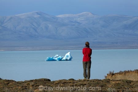 Argentina;Argentine-Patagonia;Argentine-Republic;cold;Glacier-National-Park;ice;iceberg;Lago-Viedma;Lake-Viedma;Latin-America;Los-Glaciares;Los-Glaciares-N.P.;Los-Glaciares-National-Park;Los-Glaciares-NP;M.R;model-release;model-released;MR;national-park;national-parks;NP;park;parks;Parque-Nacional-Los-Glaciares;Patagonia;Patagonian;people;person;Santa-Cruz-Province;South-America;South-Argentina;Southern-Argentina;Sth-America;tourism;tourist;tourists;travel;UN-world-heritage-area;UN-world-heritage-site;UNESCO-World-Heritage-area;UNESCO-World-Heritage-Site;united-nations-world-heritage-area;united-nations-world-heritage-site;Viedma-Lake;world-heritage;world-heritage-area;world-heritage-areas;World-Heritage-Park;World-Heritage-site;World-Heritage-Sites