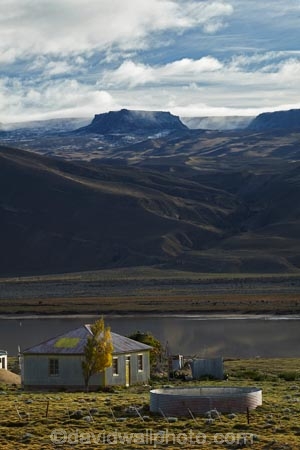 agricultural;agriculture;Argentina;Argentine-Patagonia;Argentine-Republic;autuminal;autumn;autumn-colour;autumn-colours;autumnal;color;colors;colour;colours;corrugated-building;corrugated-iron;corrugated-metal;corrugated-steel;country;countryside;deciduous;fall;farm;farmhouse;farmhouses;farming;farmland;farms;field;fields;gold;golden;house;house-houses;houses;lake;lakes;Latin-America;leaf;leaves;meadow;meadows;paddock;paddocks;pasture;pastures;Patagonia;Patagonian;Patagonian-steppe;roofing-iron;roofing-metal;rural;Santa-Cruz-Province;season;seasonal;seasons;South-America;South-Argentina;Southern-Argentina;Sth-America;tree;trees;yellow;zincalume