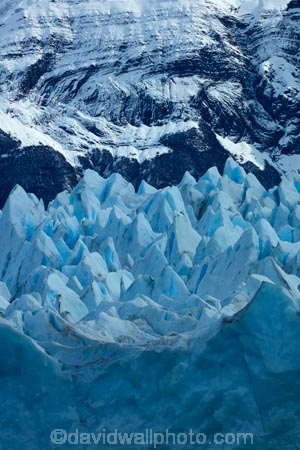Argentina;Argentine-Patagonia;Argentine-Republic;blue-ice;cold;Glaciar-Perito-Moreno;glacier;glacier-face;Glacier-National-Park;glacier-terminal-face;glacier-terminus;glaciers;ice;icefield;icefields;icy;Latin-America;Los-Glaciares;Los-Glaciares-N.P.;Los-Glaciares-National-Park;Los-Glaciares-NP;national-park;national-parks;NP;park;parks;Parque-Nacional-Los-Glaciares;Patagonia;Patagonian;Perito-Moreno;Perito-Moreno-Glacier;Santa-Cruz-Province;South-America;South-Argentina;Southern-Argentina;Sth-America;terminal-face;terminus;travel;UN-world-heritage-area;UN-world-heritage-site;UNESCO-World-Heritage-area;UNESCO-World-Heritage-Site;united-nations-world-heritage-area;united-nations-world-heritage-site;world-heritage;world-heritage-area;world-heritage-areas;World-Heritage-Park;World-Heritage-site;World-Heritage-Sites