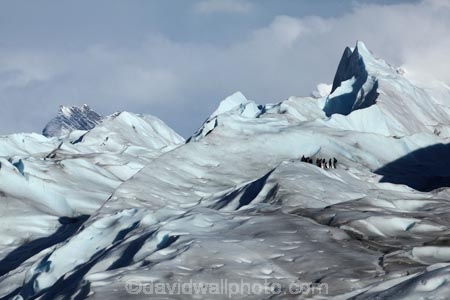 Argentina;Argentine-Patagonia;Argentine-Republic;cold;Glaciar-Perito-Moreno;glacier;glacier-hiking;Glacier-National-Park;glacier-trekking;glaciers;Heilo-amp;-Aventura;Hielo-and-Aventura;hiker;hikers;ice;ice-hiking;ice-trekking;icefield;icefields;icy;Latin-America;Los-Glaciares;Los-Glaciares-N.P.;Los-Glaciares-National-Park;Los-Glaciares-NP;national-park;national-parks;NP;park;parks;Parque-Nacional-Los-Glaciares;Patagonia;Patagonian;people;Perito-Moreno;Perito-Moreno-Glacier;person;Santa-Cruz-Province;South-America;South-Argentina;Southern-Argentina;Sth-America;tourism;tourist;tourists;travel;trekker;trekkers;UN-world-heritage-area;UN-world-heritage-site;UNESCO-World-Heritage-area;UNESCO-World-Heritage-Site;united-nations-world-heritage-area;united-nations-world-heritage-site;walker;walkers;world-heritage;world-heritage-area;world-heritage-areas;World-Heritage-Park;World-Heritage-site;World-Heritage-Sites