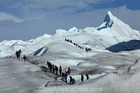 Argentina;Argentine-Patagonia;Argentine-Republic;cold;Glaciar-Perito-Moreno;glacier;glacier-hiking;Glacier-National-Park;glacier-trekking;glaciers;Heilo-amp;-Aventura;Hielo-and-Aventura;hiker;hikers;ice;ice-hiking;ice-trekking;icefield;icefields;icy;Latin-America;Los-Glaciares;Los-Glaciares-N.P.;Los-Glaciares-National-Park;Los-Glaciares-NP;national-park;national-parks;NP;park;parks;Parque-Nacional-Los-Glaciares;Patagonia;Patagonian;people;Perito-Moreno;Perito-Moreno-Glacier;person;Santa-Cruz-Province;South-America;South-Argentina;Southern-Argentina;Sth-America;tourism;tourist;tourists;travel;trekker;trekkers;UN-world-heritage-area;UN-world-heritage-site;UNESCO-World-Heritage-area;UNESCO-World-Heritage-Site;united-nations-world-heritage-area;united-nations-world-heritage-site;walker;walkers;world-heritage;world-heritage-area;world-heritage-areas;World-Heritage-Park;World-Heritage-site;World-Heritage-Sites