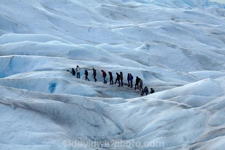 adventure-travel;Argentina;Argentine-Patagonia;Argentine-Republic;cold;Glaciar-Perito-Moreno;glacier;glacier-hiking;Glacier-National-Park;glacier-trekking;glaciers;Heilo-amp;-Aventura;Hielo-and-Aventura;hiker;hikers;ice;ice-hiking;ice-trekking;icefield;icefields;icy;Latin-America;Los-Glaciares;Los-Glaciares-N.P.;Los-Glaciares-National-Park;Los-Glaciares-NP;national-park;national-parks;NP;park;parks;Parque-Nacional-Los-Glaciares;Patagonia;Patagonian;people;Perito-Moreno;Perito-Moreno-Glacier;person;Santa-Cruz-Province;South-America;South-Argentina;Southern-Argentina;Sth-America;tourism;tourist;tourists;travel;trekker;trekkers;UN-world-heritage-area;UN-world-heritage-site;UNESCO-World-Heritage-area;UNESCO-World-Heritage-Site;united-nations-world-heritage-area;united-nations-world-heritage-site;walker;walkers;world-heritage;world-heritage-area;world-heritage-areas;World-Heritage-Park;World-Heritage-site;World-Heritage-Sites