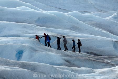 adventure-travel;Argentina;Argentine-Patagonia;Argentine-Republic;cold;Glaciar-Perito-Moreno;glacier;glacier-hiking;Glacier-National-Park;glacier-trekking;glaciers;Heilo-amp;-Aventura;Hielo-and-Aventura;hiker;hikers;ice;ice-hiking;ice-trekking;icefield;icefields;icy;Latin-America;Los-Glaciares;Los-Glaciares-N.P.;Los-Glaciares-National-Park;Los-Glaciares-NP;national-park;national-parks;NP;park;parks;Parque-Nacional-Los-Glaciares;Patagonia;Patagonian;people;Perito-Moreno;Perito-Moreno-Glacier;person;Santa-Cruz-Province;South-America;South-Argentina;Southern-Argentina;Sth-America;tourism;tourist;tourists;travel;trekker;trekkers;UN-world-heritage-area;UN-world-heritage-site;UNESCO-World-Heritage-area;UNESCO-World-Heritage-Site;united-nations-world-heritage-area;united-nations-world-heritage-site;walker;walkers;world-heritage;world-heritage-area;world-heritage-areas;World-Heritage-Park;World-Heritage-site;World-Heritage-Sites
