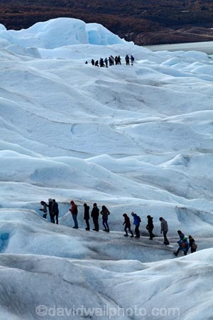 adventure-travel;Argentina;Argentine-Patagonia;Argentine-Republic;cold;Glaciar-Perito-Moreno;glacier;glacier-hiking;Glacier-National-Park;glacier-trekking;glaciers;Heilo-amp;-Aventura;Hielo-and-Aventura;hiker;hikers;ice;ice-hiking;ice-trekking;icefield;icefields;icy;Latin-America;Los-Glaciares;Los-Glaciares-N.P.;Los-Glaciares-National-Park;Los-Glaciares-NP;national-park;national-parks;NP;park;parks;Parque-Nacional-Los-Glaciares;Patagonia;Patagonian;people;Perito-Moreno;Perito-Moreno-Glacier;person;Santa-Cruz-Province;South-America;South-Argentina;Southern-Argentina;Sth-America;tourism;tourist;tourists;travel;trekker;trekkers;UN-world-heritage-area;UN-world-heritage-site;UNESCO-World-Heritage-area;UNESCO-World-Heritage-Site;united-nations-world-heritage-area;united-nations-world-heritage-site;walker;walkers;world-heritage;world-heritage-area;world-heritage-areas;World-Heritage-Park;World-Heritage-site;World-Heritage-Sites
