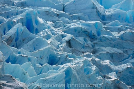 Argentina;Argentine-Patagonia;Argentine-Republic;blue-ice;cold;crevasse;crevasses;Glaciar-Perito-Moreno;glacier;Glacier-National-Park;glaciers;ice;icefield;icefields;icy;Latin-America;Los-Glaciares;Los-Glaciares-N.P.;Los-Glaciares-National-Park;Los-Glaciares-NP;national-park;national-parks;NP;park;parks;Parque-Nacional-Los-Glaciares;Patagonia;Patagonian;Perito-Moreno;Perito-Moreno-Glacier;Santa-Cruz-Province;South-America;South-Argentina;Southern-Argentina;Sth-America;travel;UN-world-heritage-area;UN-world-heritage-site;UNESCO-World-Heritage-area;UNESCO-World-Heritage-Site;united-nations-world-heritage-area;united-nations-world-heritage-site;world-heritage;world-heritage-area;world-heritage-areas;World-Heritage-Park;World-Heritage-site;World-Heritage-Sites
