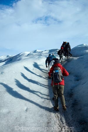 adventure-travel;Argentina;Argentine-Patagonia;Argentine-Republic;cold;Glaciar-Perito-Moreno;glacier;glacier-hiking;Glacier-National-Park;glacier-trekking;glaciers;Heilo-amp;-Aventura;Hielo-and-Aventura;hiker;hikers;ice;ice-hiking;ice-trekking;icefield;icefields;icy;Latin-America;Los-Glaciares;Los-Glaciares-N.P.;Los-Glaciares-National-Park;Los-Glaciares-NP;national-park;national-parks;NP;park;parks;Parque-Nacional-Los-Glaciares;Patagonia;Patagonian;people;Perito-Moreno;Perito-Moreno-Glacier;person;Santa-Cruz-Province;South-America;South-Argentina;Southern-Argentina;Sth-America;tourism;tourist;tourists;travel;trekker;trekkers;UN-world-heritage-area;UN-world-heritage-site;UNESCO-World-Heritage-area;UNESCO-World-Heritage-Site;united-nations-world-heritage-area;united-nations-world-heritage-site;walker;walkers;world-heritage;world-heritage-area;world-heritage-areas;World-Heritage-Park;World-Heritage-site;World-Heritage-Sites