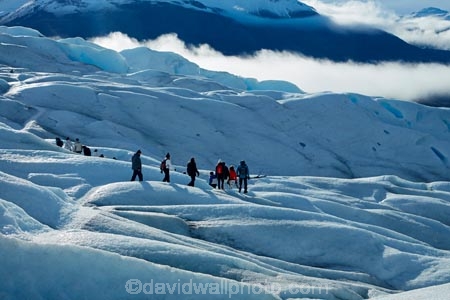 adventure-travel;Argentina;Argentine-Patagonia;Argentine-Republic;cold;Glaciar-Perito-Moreno;glacier;glacier-hiking;Glacier-National-Park;glacier-trekking;glaciers;Heilo-amp;-Aventura;Hielo-and-Aventura;hiker;hikers;ice;ice-hiking;ice-trekking;icefield;icefields;icy;Latin-America;Los-Glaciares;Los-Glaciares-N.P.;Los-Glaciares-National-Park;Los-Glaciares-NP;national-park;national-parks;NP;park;parks;Parque-Nacional-Los-Glaciares;Patagonia;Patagonian;people;Perito-Moreno;Perito-Moreno-Glacier;person;Santa-Cruz-Province;South-America;South-Argentina;Southern-Argentina;Sth-America;tourism;tourist;tourists;travel;trekker;trekkers;UN-world-heritage-area;UN-world-heritage-site;UNESCO-World-Heritage-area;UNESCO-World-Heritage-Site;united-nations-world-heritage-area;united-nations-world-heritage-site;walker;walkers;world-heritage;world-heritage-area;world-heritage-areas;World-Heritage-Park;World-Heritage-site;World-Heritage-Sites