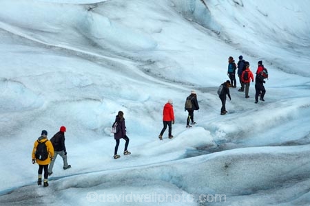 adventure-travel;Argentina;Argentine-Patagonia;Argentine-Republic;cold;Glaciar-Perito-Moreno;glacier;glacier-hiking;Glacier-National-Park;glacier-trekking;glaciers;Heilo-amp;-Aventura;Hielo-and-Aventura;hiker;hikers;ice;ice-hiking;ice-trekking;icefield;icefields;icy;Latin-America;Los-Glaciares;Los-Glaciares-N.P.;Los-Glaciares-National-Park;Los-Glaciares-NP;national-park;national-parks;NP;park;parks;Parque-Nacional-Los-Glaciares;Patagonia;Patagonian;people;Perito-Moreno;Perito-Moreno-Glacier;person;Santa-Cruz-Province;South-America;South-Argentina;Southern-Argentina;Sth-America;tourism;tourist;tourists;travel;trekker;trekkers;UN-world-heritage-area;UN-world-heritage-site;UNESCO-World-Heritage-area;UNESCO-World-Heritage-Site;united-nations-world-heritage-area;united-nations-world-heritage-site;walker;walkers;world-heritage;world-heritage-area;world-heritage-areas;World-Heritage-Park;World-Heritage-site;World-Heritage-Sites