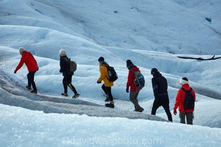 adventure-travel;Argentina;Argentine-Patagonia;Argentine-Republic;cold;Glaciar-Perito-Moreno;glacier;glacier-hiking;Glacier-National-Park;glacier-trekking;glaciers;Heilo-amp;-Aventura;Hielo-and-Aventura;hiker;hikers;ice;ice-hiking;ice-trekking;icefield;icefields;icy;Latin-America;Los-Glaciares;Los-Glaciares-N.P.;Los-Glaciares-National-Park;Los-Glaciares-NP;national-park;national-parks;NP;park;parks;Parque-Nacional-Los-Glaciares;Patagonia;Patagonian;people;Perito-Moreno;Perito-Moreno-Glacier;person;Santa-Cruz-Province;South-America;South-Argentina;Southern-Argentina;Sth-America;tourism;tourist;tourists;travel;trekker;trekkers;UN-world-heritage-area;UN-world-heritage-site;UNESCO-World-Heritage-area;UNESCO-World-Heritage-Site;united-nations-world-heritage-area;united-nations-world-heritage-site;walker;walkers;world-heritage;world-heritage-area;world-heritage-areas;World-Heritage-Park;World-Heritage-site;World-Heritage-Sites
