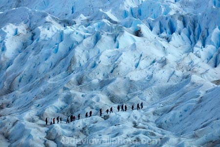 adventure-travel;Argentina;Argentine-Patagonia;Argentine-Republic;blue-ice;cold;crevasse;crevasses;Glaciar-Perito-Moreno;glacier;glacier-hiking;Glacier-National-Park;glacier-trekking;glaciers;Heilo-amp;-Aventura;Hielo-and-Aventura;hiker;hikers;ice;ice-hiking;ice-trekking;icefield;icefields;icy;Latin-America;Los-Glaciares;Los-Glaciares-N.P.;Los-Glaciares-National-Park;Los-Glaciares-NP;national-park;national-parks;NP;park;parks;Parque-Nacional-Los-Glaciares;Patagonia;Patagonian;people;Perito-Moreno;Perito-Moreno-Glacier;person;Santa-Cruz-Province;South-America;South-Argentina;Southern-Argentina;Sth-America;tourism;tourist;tourists;travel;trekker;trekkers;UN-world-heritage-area;UN-world-heritage-site;UNESCO-World-Heritage-area;UNESCO-World-Heritage-Site;united-nations-world-heritage-area;united-nations-world-heritage-site;walker;walkers;world-heritage;world-heritage-area;world-heritage-areas;World-Heritage-Park;World-Heritage-site;World-Heritage-Sites