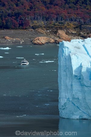 Argentina;Argentine-Patagonia;Argentine-Republic;Argentino-Lake;boat;boats;cold;cruise;cruise-boat;cruise-boats;cruises;Glaciar-Perito-Moreno;glacier;glacier-face;Glacier-National-Park;glacier-terminal-face;glacier-terminus;glaciers;ice;icefield;icefields;icy;Lago-Argentino;Latin-America;Los-Glaciares;Los-Glaciares-N.P.;Los-Glaciares-National-Park;Los-Glaciares-NP;national-park;national-parks;NP;park;parks;Parque-Nacional-Los-Glaciares;Patagonia;Patagonian;Perito-Moreno;Perito-Moreno-Glacier;pleasure-boat;pleasure-boats;Santa-Cruz-Province;South-America;South-Argentina;Southern-Argentina;Sth-America;terminal-face;terminus;tour-boat;tour-boats;tourism;tourist-boat;tourist-boats;travel;UN-world-heritage-area;UN-world-heritage-site;UNESCO-World-Heritage-area;UNESCO-World-Heritage-Site;united-nations-world-heritage-area;united-nations-world-heritage-site;world-heritage;world-heritage-area;world-heritage-areas;World-Heritage-Park;World-Heritage-site;World-Heritage-Sites