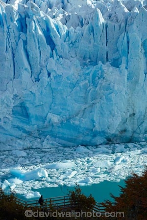 Argentina;Argentine-Patagonia;Argentine-Republic;Argentino-Lake;blue-ice;Canal-de-los-Tempanos;cold;crevasse;crevasses;Glaciar-Perito-Moreno;glacier;glacier-face;Glacier-National-Park;glacier-terminal-face;glacier-terminus;glaciers;ice;iceberg;Iceberg-Channel;icebergs;icefield;icefields;icy;Lago-Argentino;Latin-America;lookout;lookouts;Los-Glaciares;Los-Glaciares-N.P.;Los-Glaciares-National-Park;Los-Glaciares-NP;Magellanes-Peninsula;national-park;national-parks;NP;park;parks;Parque-Nacional-Los-Glaciares;Patagonia;Patagonian;Peninsula-Magellanes;people;Perito-Moreno;Perito-Moreno-Glacier;person;Santa-Cruz-Province;South-America;South-Argentina;Southern-Argentina;Sth-America;terminal-face;terminus;tourism;tourist;tourists;travel;UN-world-heritage-area;UN-world-heritage-site;UNESCO-World-Heritage-area;UNESCO-World-Heritage-Site;united-nations-world-heritage-area;united-nations-world-heritage-site;viewing-platform;viewing-platforms;walkway;walkways;world-heritage;world-heritage-area;world-heritage-areas;World-Heritage-Park;World-Heritage-site;World-Heritage-Sites