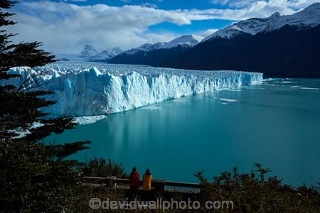 Argentina;Argentine-Patagonia;Argentine-Republic;Argentino-Lake;boardwalk;boardwalks;Canal-de-los-Tempanos;cold;female;females;girl;girls;Glaciar-Perito-Moreno;glacier;glacier-face;Glacier-National-Park;glacier-terminal-face;glacier-terminus;glaciers;ice;Iceberg-Channel;icefield;icefields;icy;Lago-Argentino;Latin-America;lookout;lookouts;Los-Glaciares;Los-Glaciares-N.P.;Los-Glaciares-National-Park;Los-Glaciares-NP;M.R.;Magellanes-Peninsula;model-release;model-released;MR;national-park;national-parks;NP;park;parks;Parque-Nacional-Los-Glaciares;Patagonia;Patagonian;Peninsula-Magellanes;people;Perito-Moreno;Perito-Moreno-Glacier;person;Santa-Cruz-Province;South-America;South-Argentina;Southern-Argentina;Sth-America;terminal-face;terminus;tourism;tourist;tourists;travel;UN-world-heritage-area;UN-world-heritage-site;UNESCO-World-Heritage-area;UNESCO-World-Heritage-Site;united-nations-world-heritage-area;united-nations-world-heritage-site;viewing-platform;viewing-platforms;walkway;walkways;world-heritage;world-heritage-area;world-heritage-areas;World-Heritage-Park;World-Heritage-site;World-Heritage-Sites