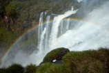 Argentina;Argentine-Republic;border;borders;Brasil;Brazil;cascade;cascades;Cataratas-del-Iguazú;fall;falls;Iguacu-Falls;Iguacu-National-Park;Iguacu-River;Iguassu-Falls;Iguassu-National-Park;Iguazu-Falls;Iguazu-N.P.;Iguazu-National-Park;Iguazu-NP;Iguazu-River;Iguazú-Falls;Iguazú-N.P.;Iguazú-National-Park;Iguazú-NP;Iguaçu-Falls;Iguaçu-National-Park;Latin-America;Misiones;Misiones-Province;mist;mists;misty;national-park;national-parks;natural;nature;Parana;Parana-State;Paraná;Paraná-State;rainbow;rainbows;scene;scenic;South-America;spray;Sth-America;The-Iguazu-Falls;tourism;travel;UN-world-heritage-area;UN-world-heritage-site;UNESCO-World-Heritage-area;UNESCO-World-Heritage-Site;united-nations-world-heritage-area;united-nations-world-heritage-site;water;water-fall;water-falls;waterfall;waterfalls;wet;world-heritage;world-heritage-area;world-heritage-areas;World-Heritage-Park;World-Heritage-site;World-Heritage-Sites