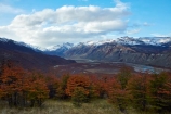 Argentina;Argentine-Patagonia;Argentine-Republic;autuminal;autumn;autumn-colour;autumn-colours;autumnal;beech;beech-tree;beech-trees;beeches;color;colors;colour;colours;deciduous;El-Chalten;fall;Glacier-National-Park;gold;golden;Las-Vuelltas-River;Latin-America;leaf;leaves;lenga;lenga-beech;lengas;Los-Glaciares;Los-Glaciares-N.P.;Los-Glaciares-National-Park;Los-Glaciares-NP;national-park;national-parks;Northofagus;Northofagus-pumilio;NP;park;parks;Parque-Nacional-Los-Glaciares;Patagonia;Patagonian;Rio-De-las-Vuelltas;river;rivers;Santa-Cruz-Province;season;seasonal;seasons;South-America;South-Argentina;Southern-Argentina;southern-beech;southern-beeches;Sth-America;tree;trees;UN-world-heritage-area;UN-world-heritage-site;UNESCO-World-Heritage-area;UNESCO-World-Heritage-Site;united-nations-world-heritage-area;united-nations-world-heritage-site;world-heritage;world-heritage-area;world-heritage-areas;World-Heritage-Park;World-Heritage-site;World-Heritage-Sites;yellow